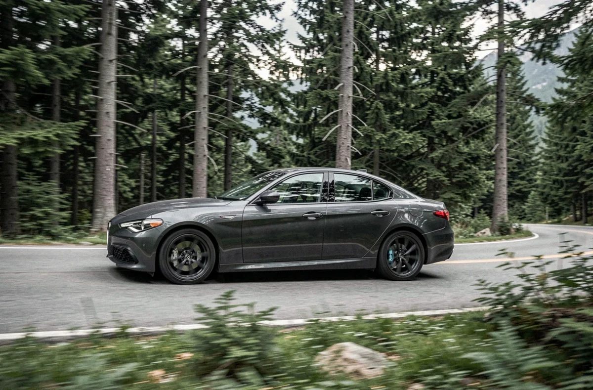 Alfa Romeo Giulia Ti grise sur une route de montagne sinueuse entourée de forêt de pins