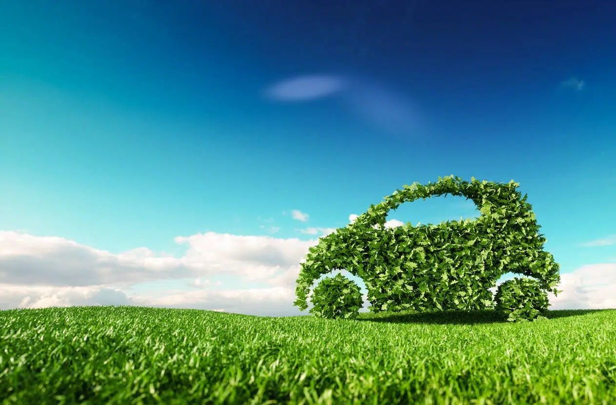 voiture écologie